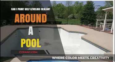 Self-Leveling Sealant: A Smart Paint Choice for Pool Surrounds