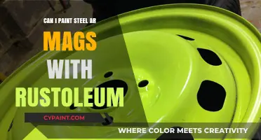 Revamping Steel Mags: A Rust-Oleum Painting Guide