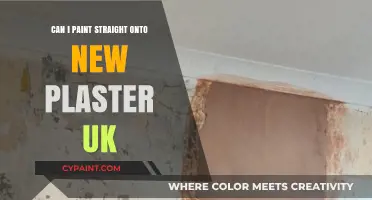 Fresh Plaster Painting: A Comprehensive Guide for UK Homes