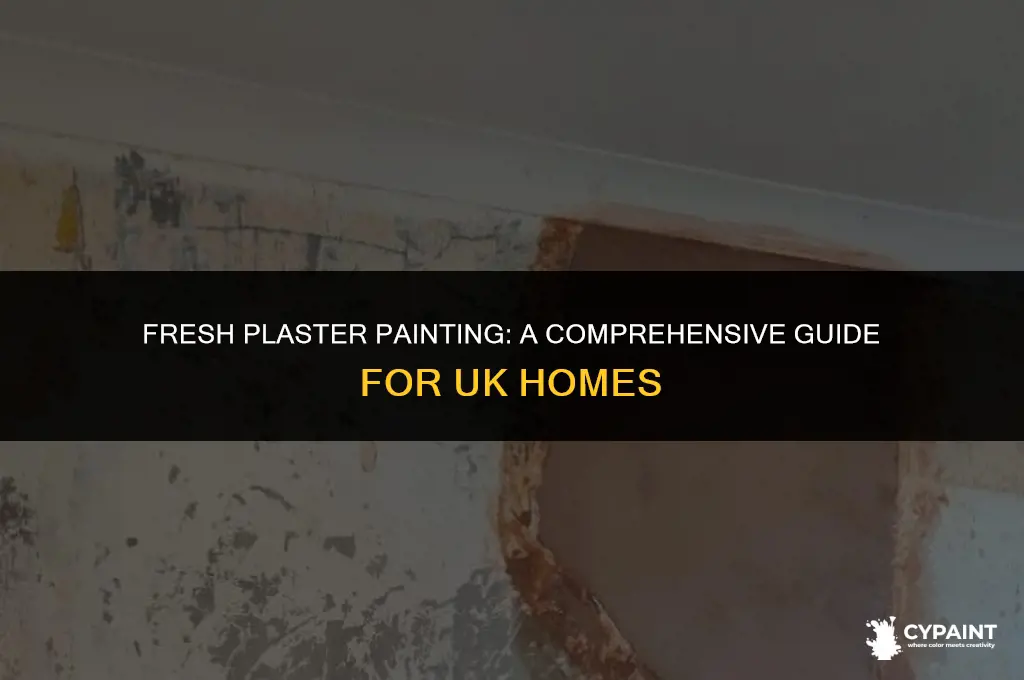 can i paint straight onto new plaster uk