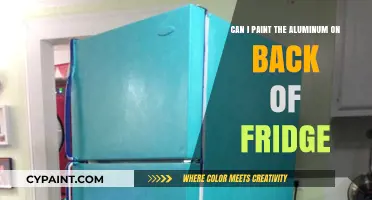 How to Paint the Aluminum Back of Your Fridge
