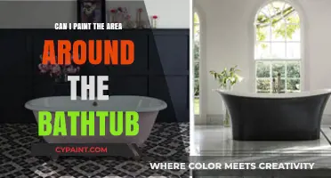 Revamping Your Bathroom: Tips for Painting Around the Bathtub