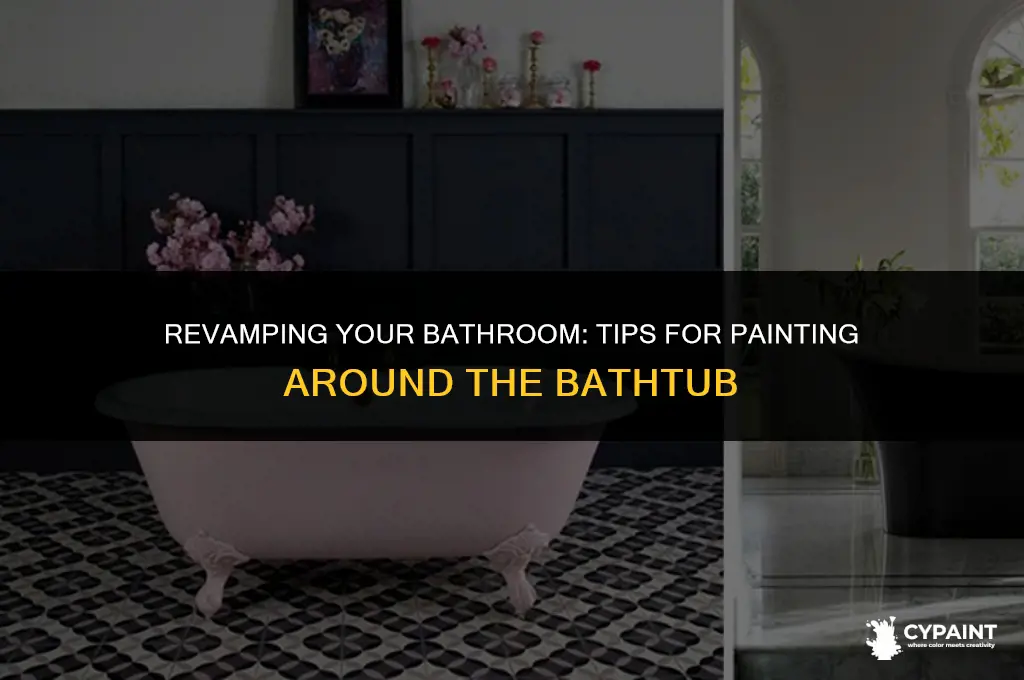 can i paint the area around the bathtub