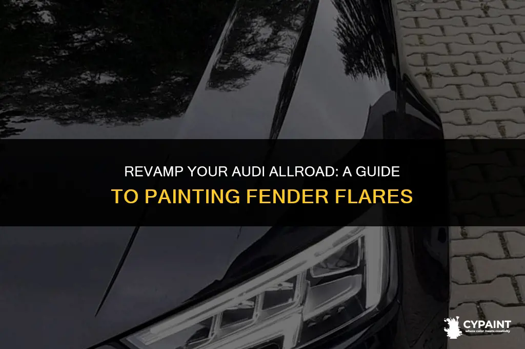 can i paint the audi allroad fender flare