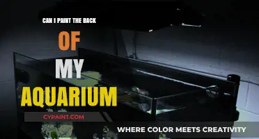 Revamping Your Aquarium: A Guide to Painting the Backdrop Safely