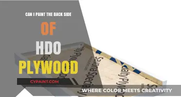 Painting HDO Plywood: Backside Innovations