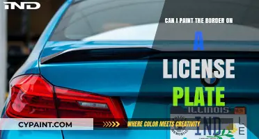 Customizing License Plates: Painting the Border
