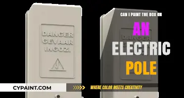 How to Paint Electric Pole Boxes Safely
