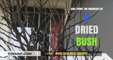 Reviving a Dried Bush: Painting the Branches