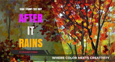 Fresh Canvas: Painting the Day After Rain