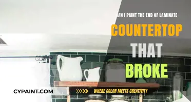 Repairing Broken Laminate Countertops: Painting the End for a Quick Fix