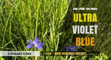 Transform Your Lawn: The Art of Ultra Violet Blue Grass Painting