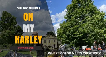 Rev Up Your Harley: A Guide to Painting Your Motorcycle Heads