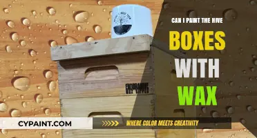 Beekeeping Basics: Waxing Hive Boxes for Optimal Performance
