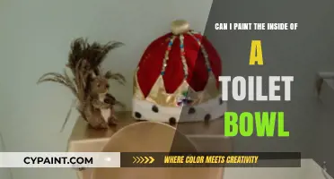 Toilet Bowl Painting: Is It Possible?