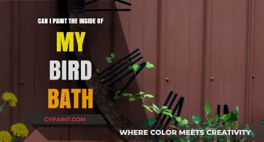 Painting a Bird Bath: Inside Job?