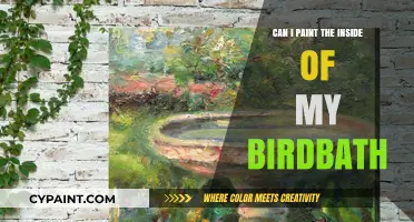 Revamping Your Birdbath: A Guide to Painting the Interior