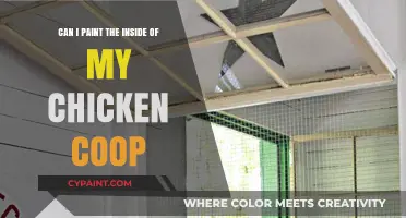 Painting Your Chicken Coop: Is It Safe?
