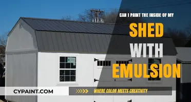 Painting Your Shed Interior: Emulsion Paint Pros, Cons, and Tips