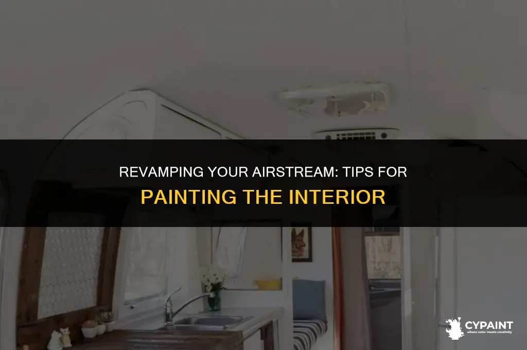 can i paint the insides of my airstream