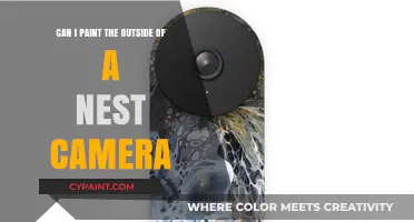 Customizing Nest Cam: Can You Paint It?