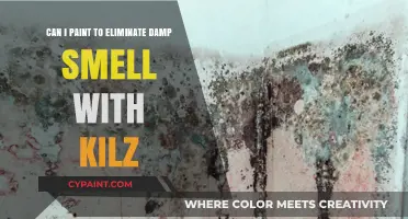 Eliminating Damp Smells: Can Kilz Primer and Paint Help?