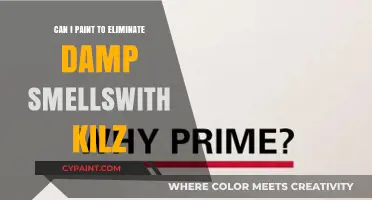 Freshen Up Your Space: Painting Over Damp Smells with Kilz