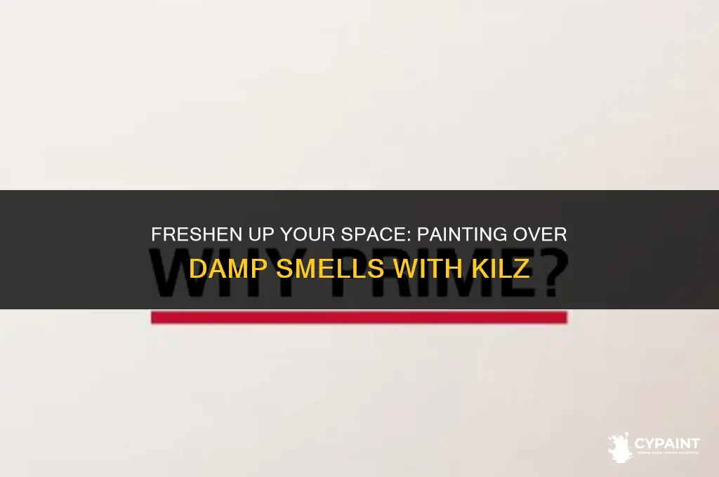 can i paint to eliminate damp smellswith kilz