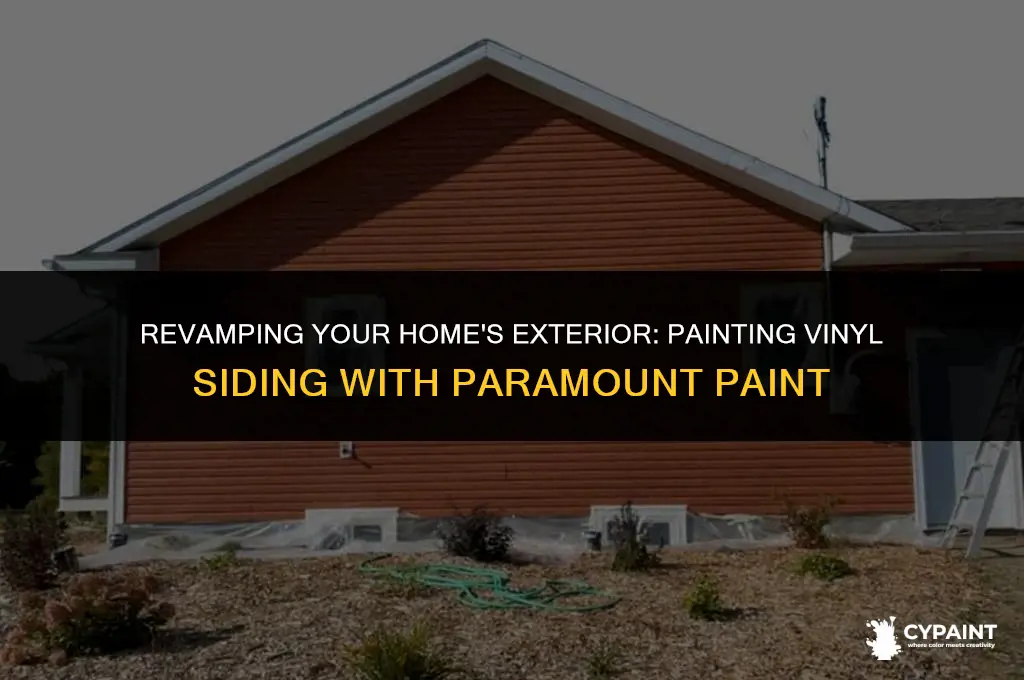 can i paint vinyl siding with paramount paint