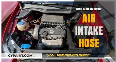 Revamp Your Ride: Painting Your VW Engine Air Intake Hose