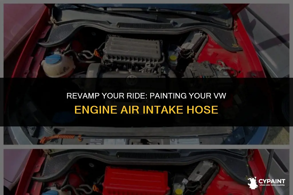 can i paint vw engine air intake hose