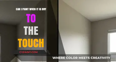 Can You Paint Over Dry-to-Touch Surfaces? Tips and Best Practices