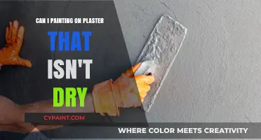 Don't Paint Wet Plaster: What You Should Know