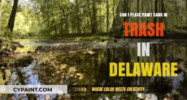 Properly Dispose of Paint Cans in Delaware