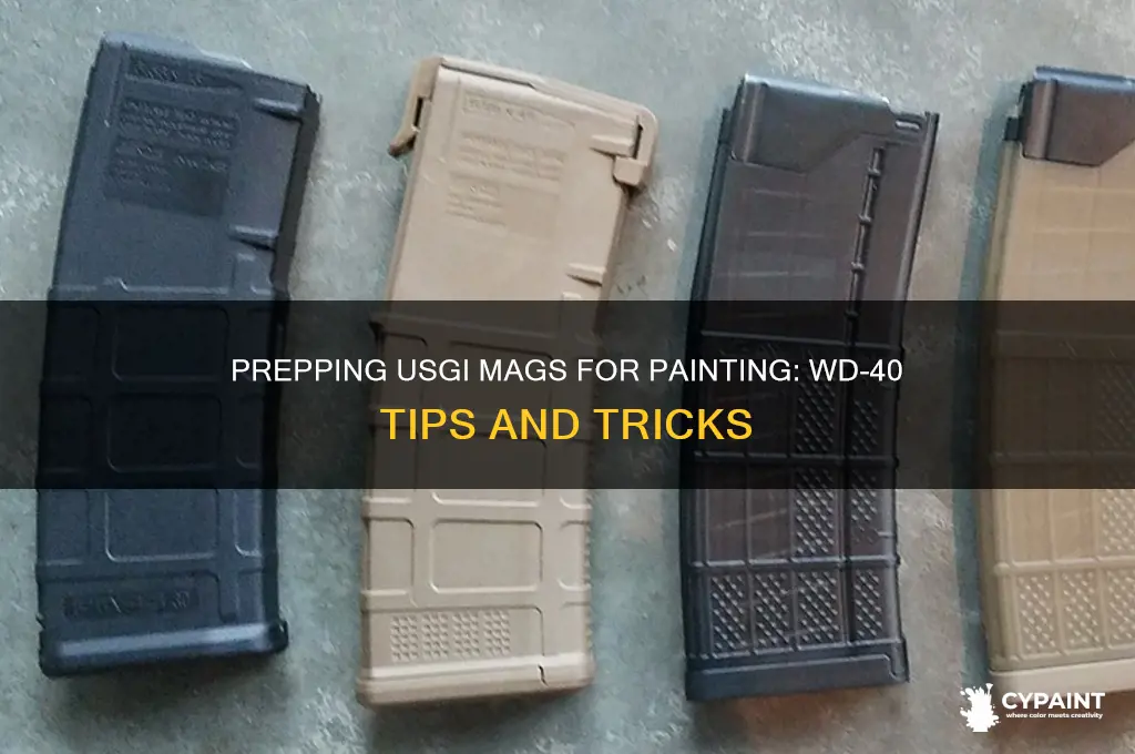 can i prepare usgi mags for painting with wd 40
