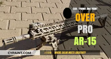 AR-15 Customization: Priming and Painting Guide