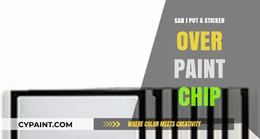 Reviving Your Ride: The Art of Concealing Paint Chips with Stickers