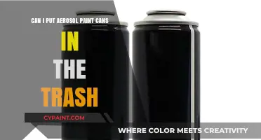 How to Dispose of Aerosol Paint Cans?