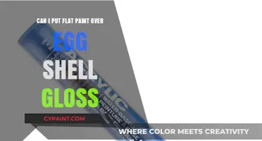 Flat Paint Over Gloss: A Smart Move?