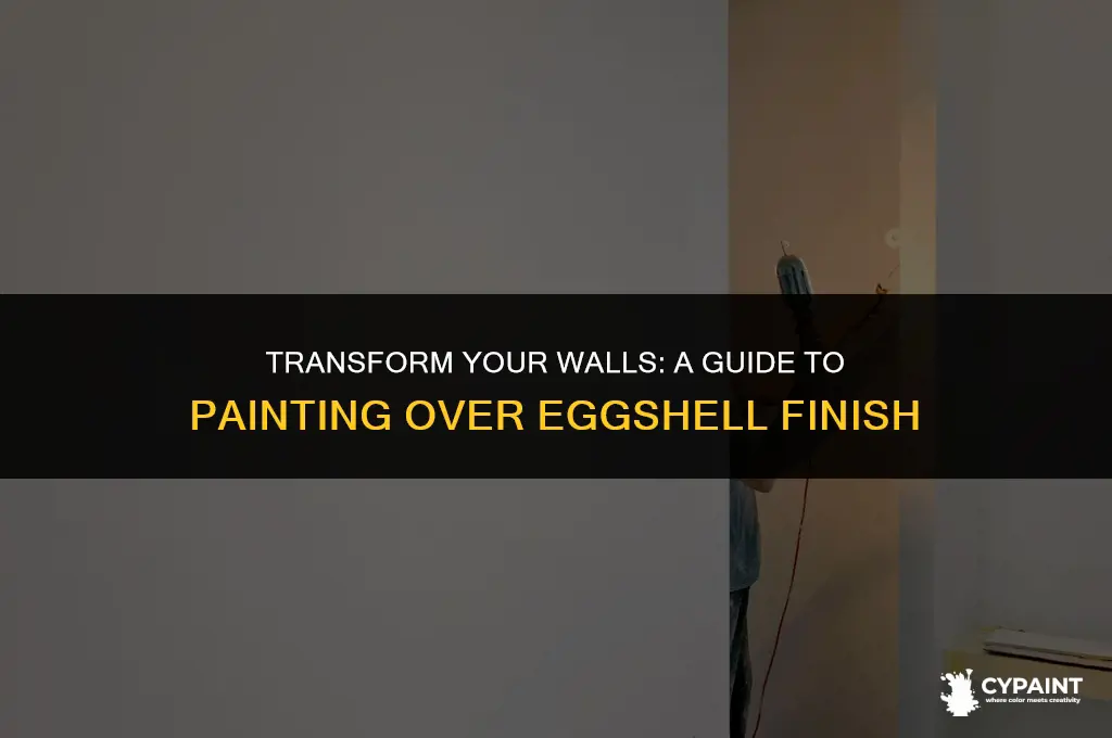 can i put flat paint over egg shell