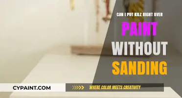 Primer Over Paint: Do You Need to Sand?