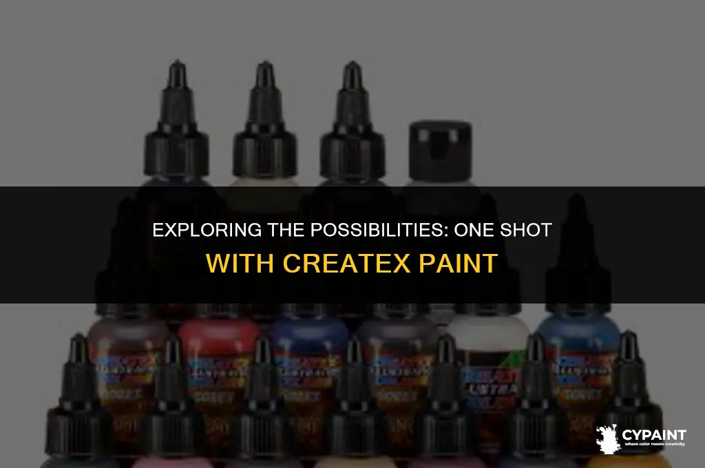 can i put one shot on createx paint