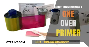 Paint and Primer in One: A Time-Saving Solution or Compromise?