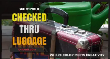 Traveling with Art: Can You Pack Paint in Checked Luggage?