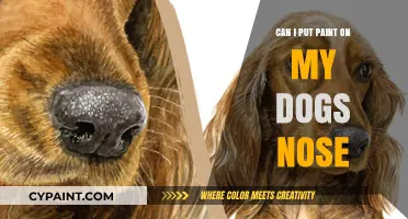 Creative Canine Customs: Painting Your Dog's Nose - A How-To Guide
