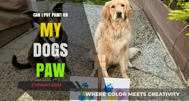 Creative Canine Crafts: Painting Your Dog's Paw Safely