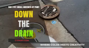Is It Safe to Pour Small Paint Amounts Down the Drain?
