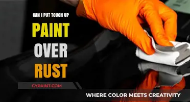 Reviving Your Ride: Can Touch-Up Paint Conquer Rust?