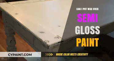 Enhancing Your Paint Job: Wax Over Semi-Gloss Paint?