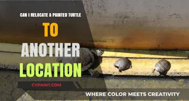 Relocating Painted Turtles: Ethical and Legal Considerations